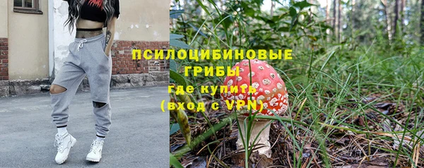 мяу мяу мука Аркадак