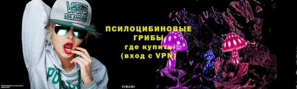 СК Арсеньев