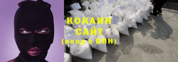 индика Армянск