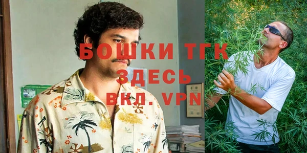 мяу мяу мука Аркадак