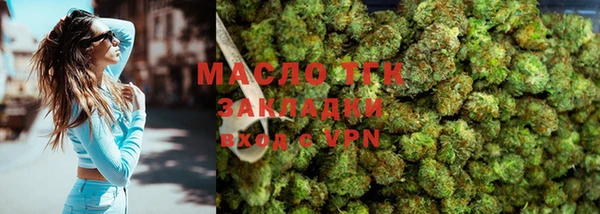 индика Армянск