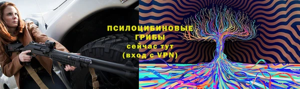 мяу мяу мука Аркадак