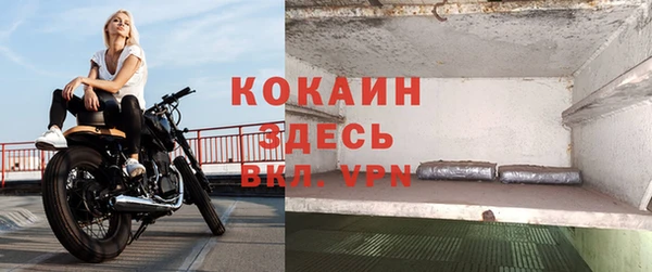 мяу мяу мука Аркадак