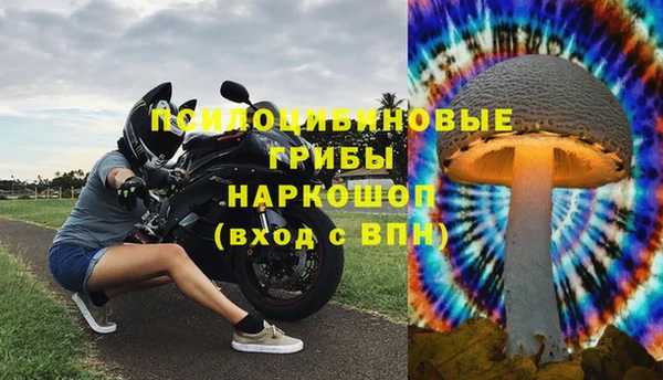 индика Армянск